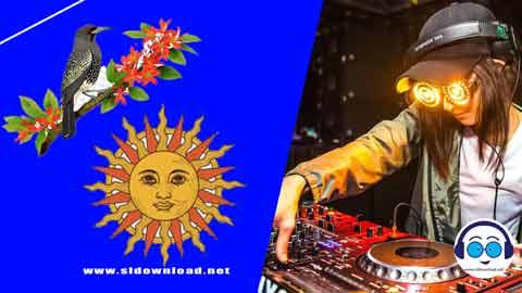 2024 Aurudu Special 3 Stylez Dj Nonstop Dj Navidu DMd FT Dj Sadasa DBd sinhala remix DJ song free download