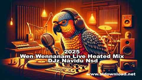 2025 Wen Wennanam Live Heated Mix DJz Navidu Nsd sinhala remix DJ song free download