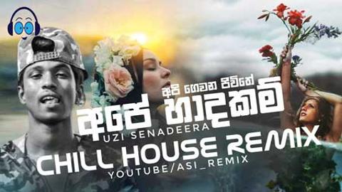 Ape Hadakam Chill House Remix by Dj Asiri mp3 download 2021 sinhala remix DJ song free download