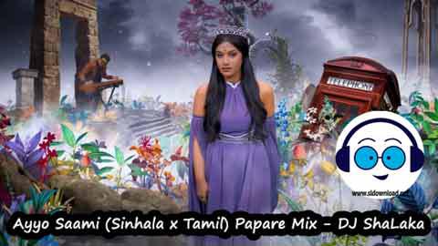 Ayyo Saami Sinhala x Tamil Papare Mix DJ ShaLaka 2022 sinhala remix DJ song free download