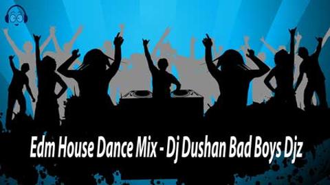 Edm House Dance Mix Dj Dushan Bad Boys Djz 2020 sinhala remix DJ song free download