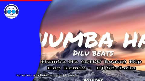 Numba Ha DILU Beats Hip Hop Remix DJ ShaLaka 2023 sinhala remix free download