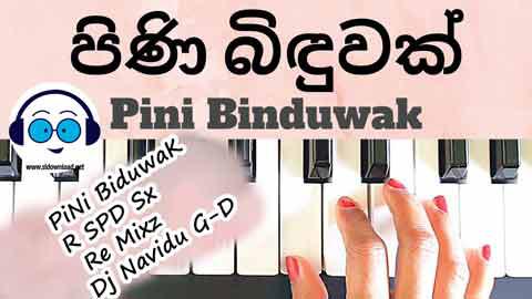 PiNi BiduwaK R SPD Sx Re Mixz Dj Navidu G D 2022 sinhala remix free download