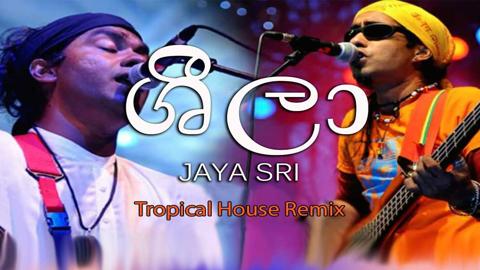 Sheela Tropical House Remix sinhala remix free download