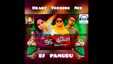Sudu Ayiya Heart Touching Mix With Chipmunks Dj Pamudu Pansilu 2021 sinhala remix DJ song free download